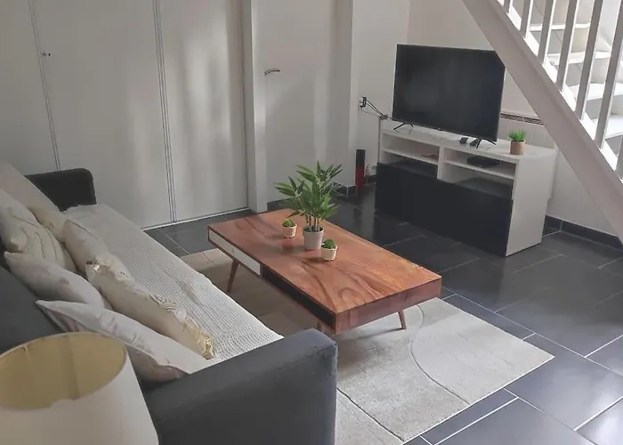 Charmant Duplex En Centre-Ville